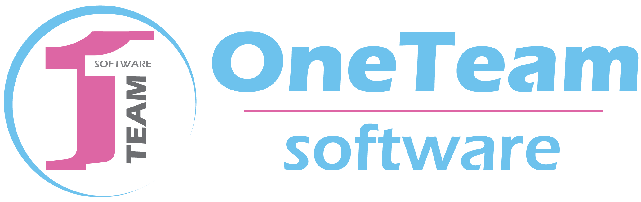 OneTeam Solution Logo